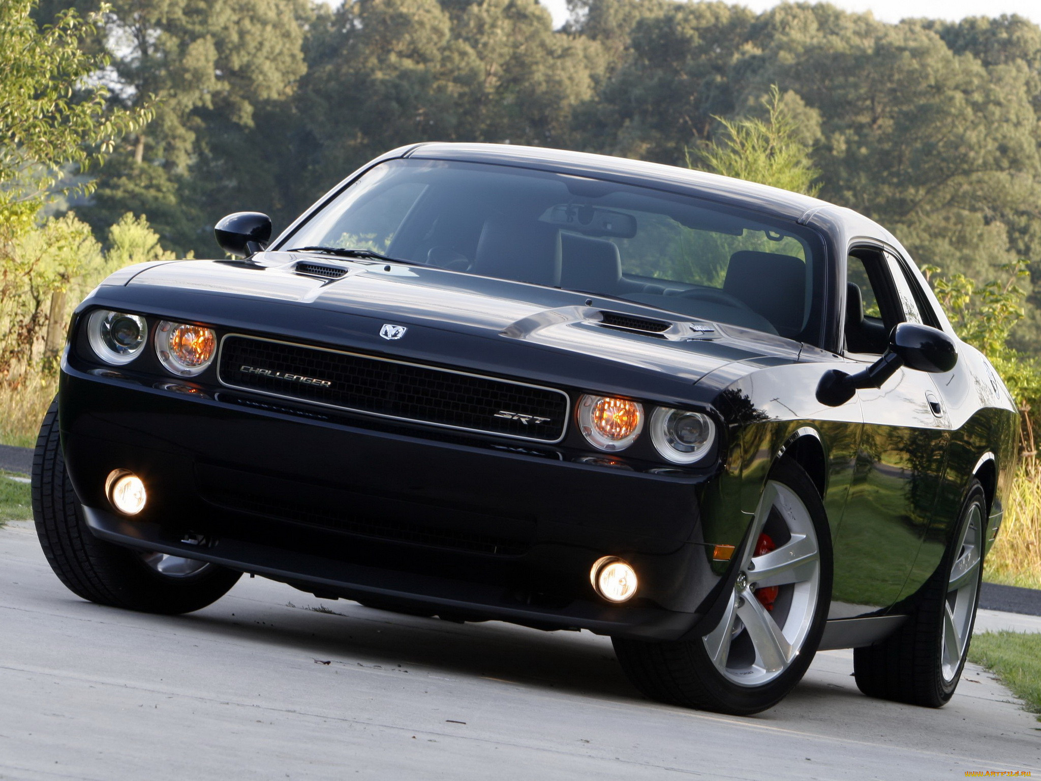 , dodge